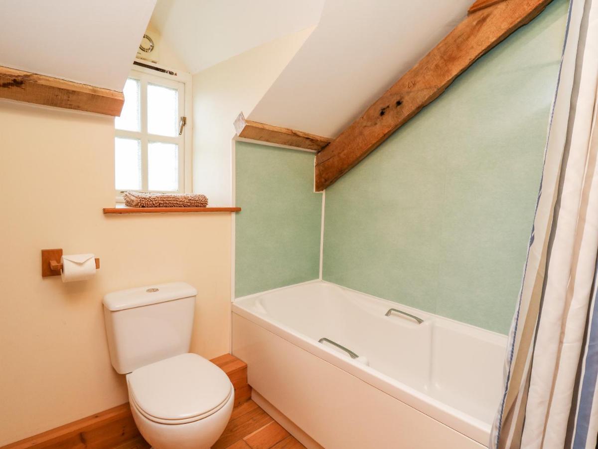 Mill Cottage, Lampeter Ciliau-Aeron Exteriör bild